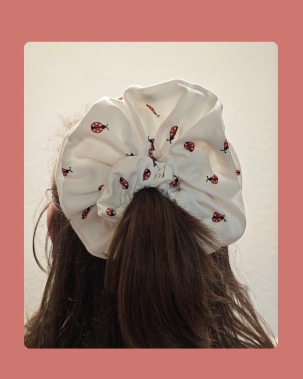 Lady Bug - Image 2