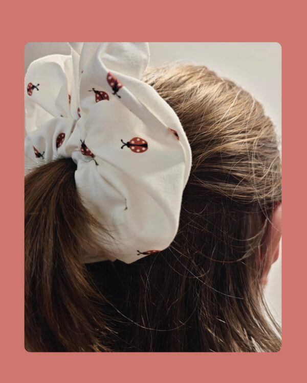 Lady Bug - Image 3