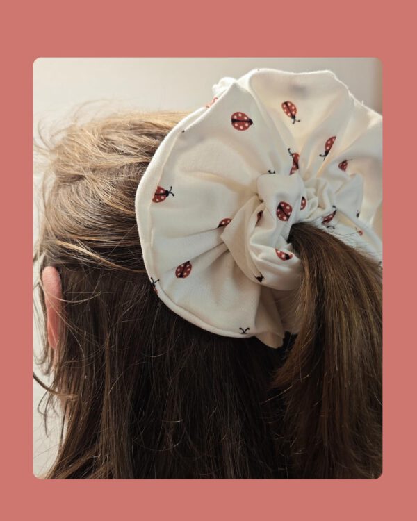 Lady Bug - Image 4