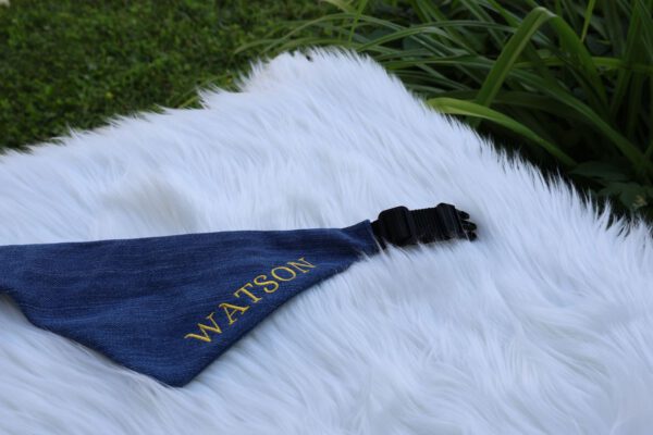 Bandana - Image 2