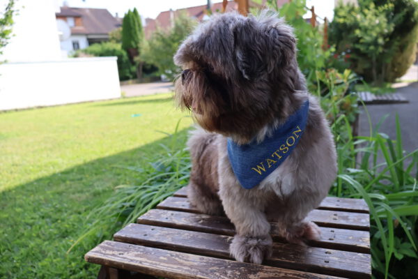 Bandana - Image 6